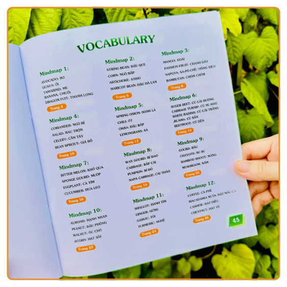 Tập tô màu Mindmap Coloring Book chủ đề Vegetable And Beans