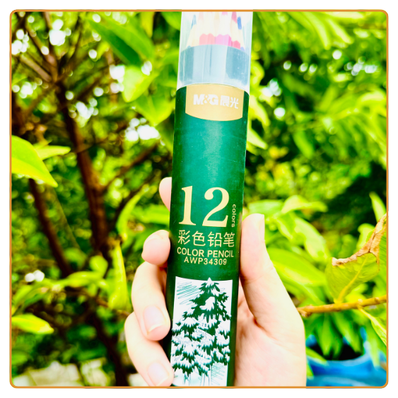 COMBO 5 CUỐN MINDMAP COLORING BOOK - TẶNG KÈM HỘP MÀU 12 CÂY